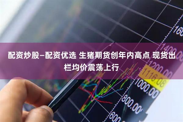 配资炒股—配资优选 生猪期货创年内高点 现货出栏均价震荡上行