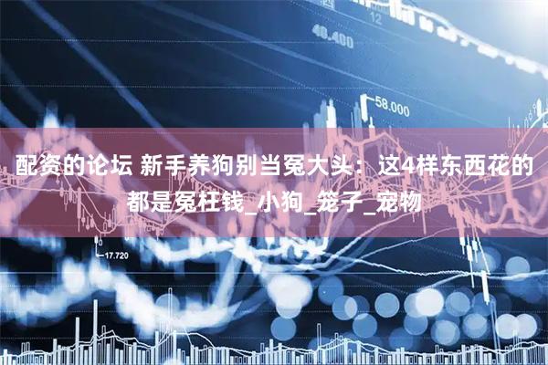 配资的论坛 新手养狗别当冤大头：这4样东西花的都是冤枉钱_小狗_笼子_宠物